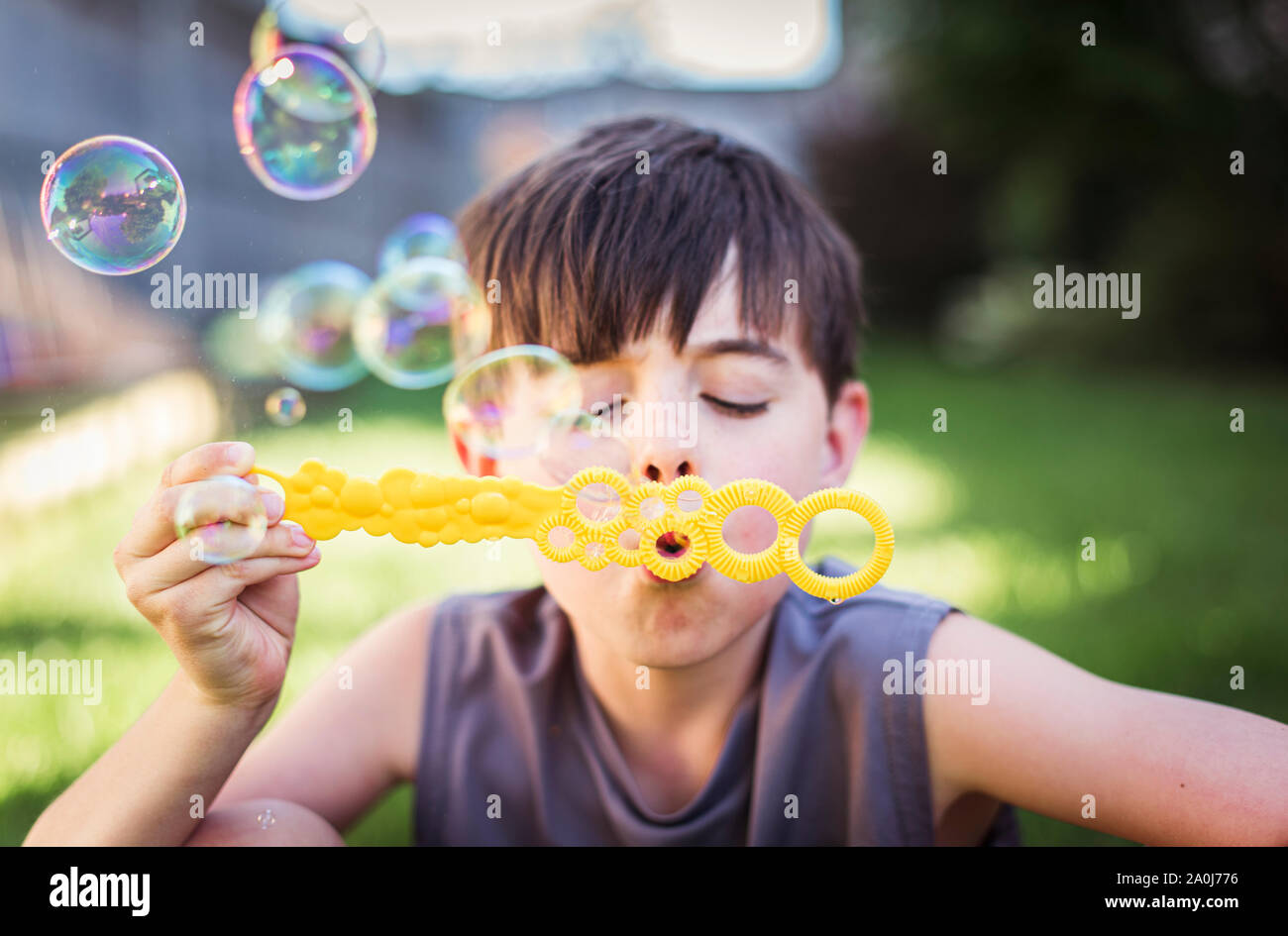 Nahaufnahme von jungen Seifenblasen im Freien im Sommer. Stockfoto