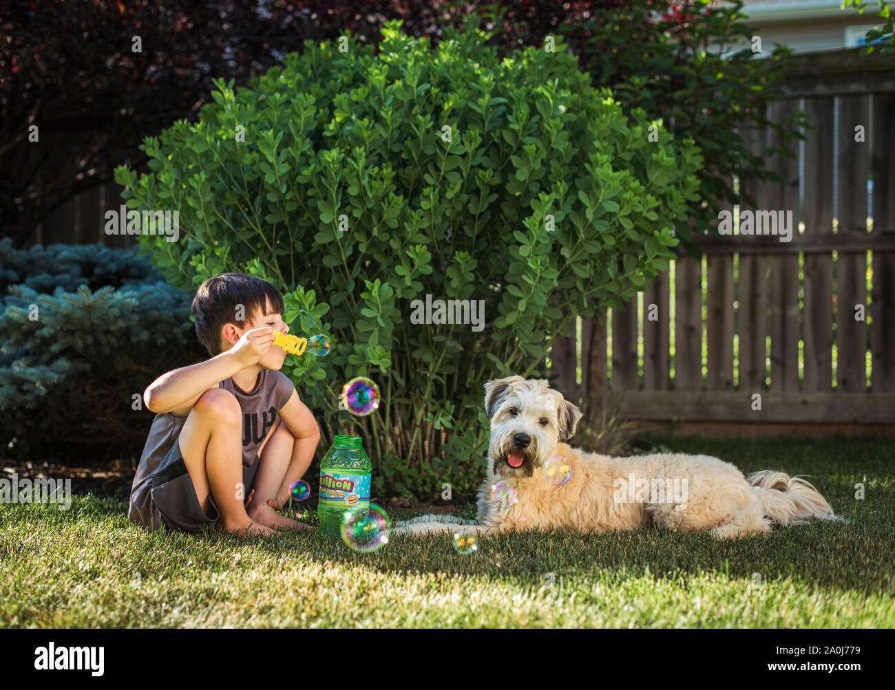 Junge bläst Seifenblasen für seinen Hund in einem Hinterhof an einem Sommertag. Stockfoto