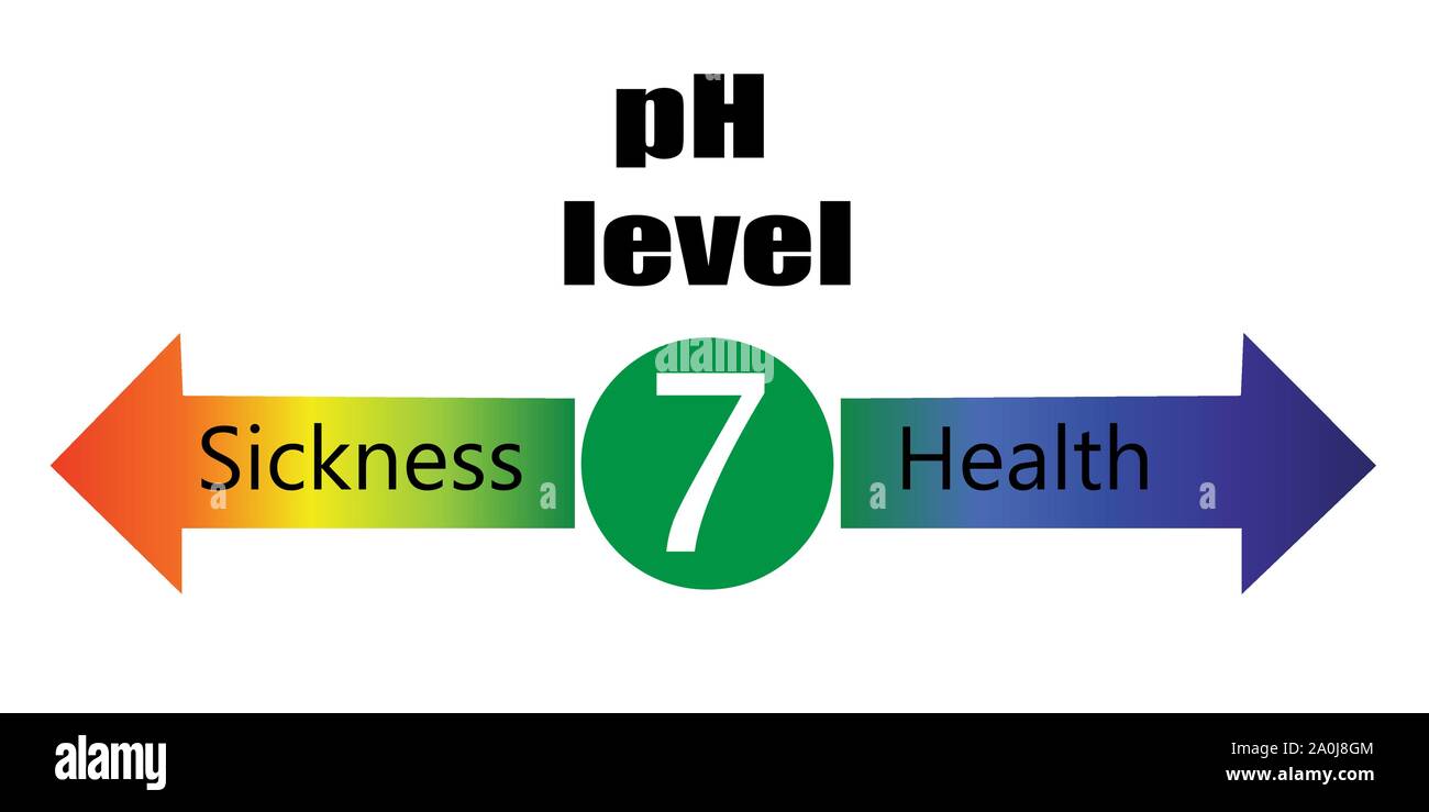 PH-Wert Ballance Diagrammskala mit Krankheit und Gesundheit im menschlichen Körper vektor Infografiken Stock Vektor