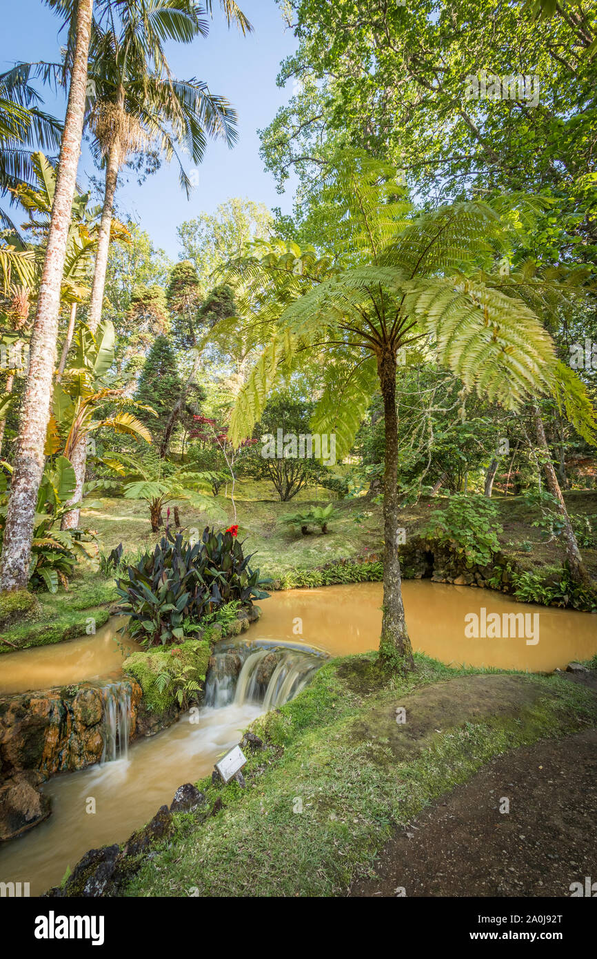 Terra Nostra Park an der Azoren, São Miguel, Portugal Stockfoto