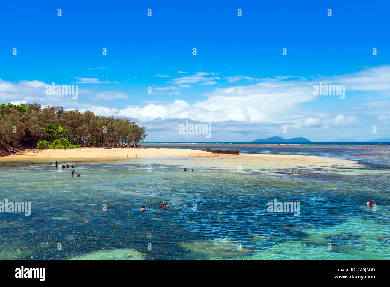 Blick auf die Marine, Cairns, Australien. Kopieren Sie Platz für Text Stockfoto