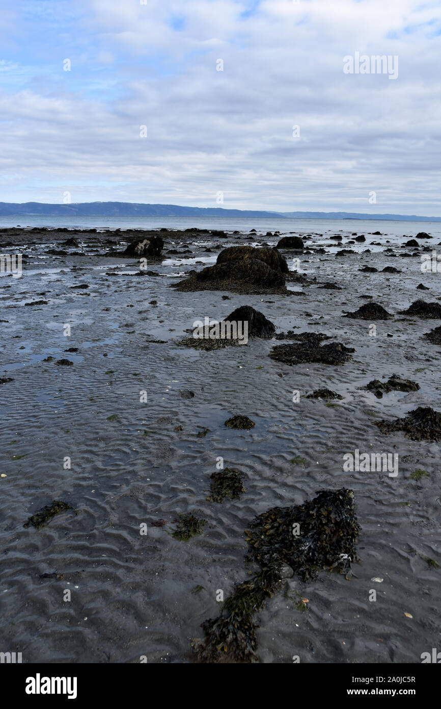 Extrem Ebbe im Trondheimsfjorden Norwegen Stockfoto