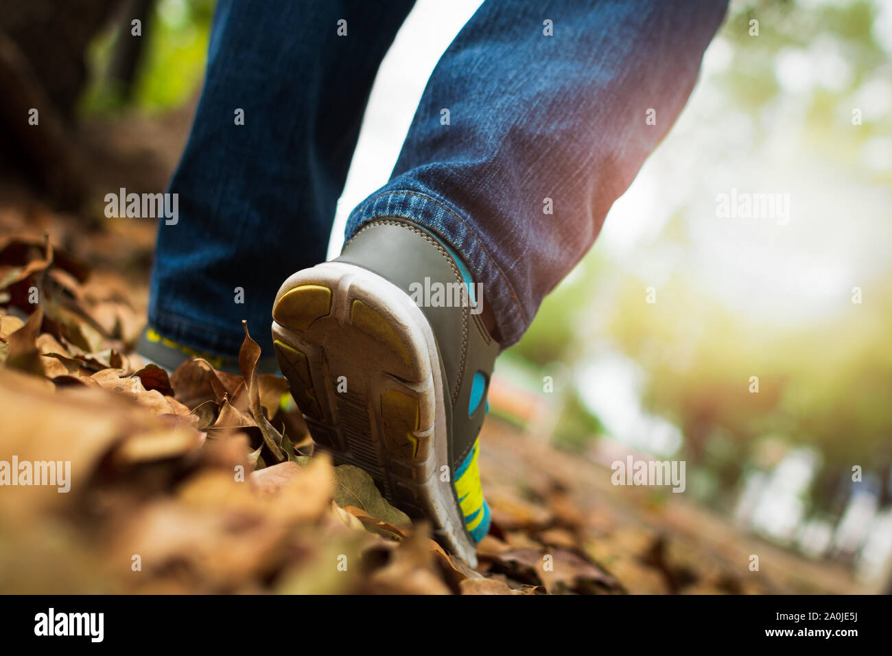 Nähe zu Fuß von Menschen Turnschuhe tragen und wandern in das Feld im Sommer. Stockfoto