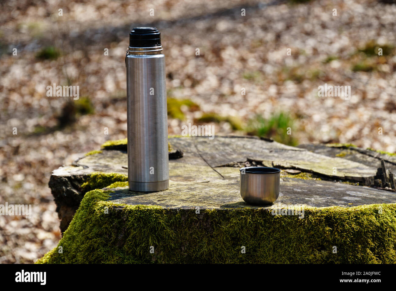Thermosflasche und eine Tasse Kaffee oder Tee auf einem Moos bedeckt  Baumstumpf im Sonnenlicht in den Wäldern (Winkelansicht, Querformat  Stockfotografie - Alamy