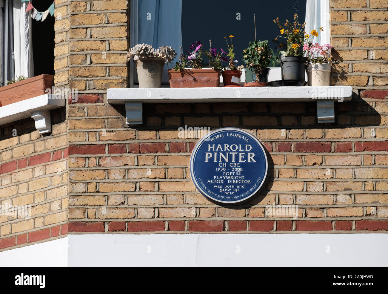 Blaue Plakette für Harold Pinter auf Thistlewaite Straße, Clapton, Hackney, East London. Stockfoto