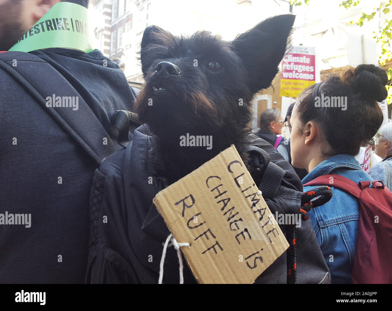 Andrew Bevan, 29, von Cardiff, brachte Rico, einem sechs Jahre alten Rescue Dog, den britischen Studenten Klima Netzwerk Global Klima Streik in Whitehall, London. Stockfoto