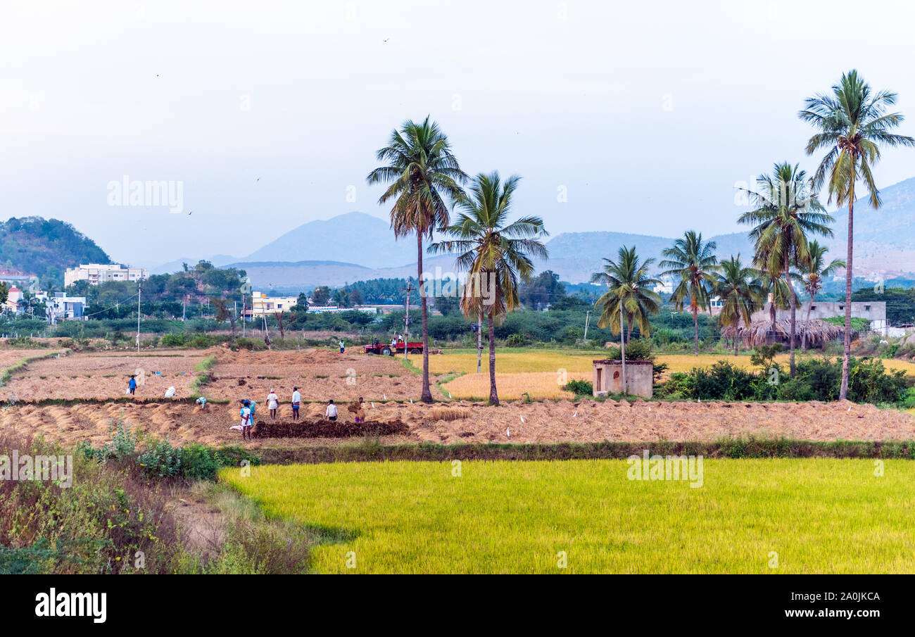 Blick auf den Indischen ländlichen Landschaft, Puttaparthi, Indien Stockfoto
