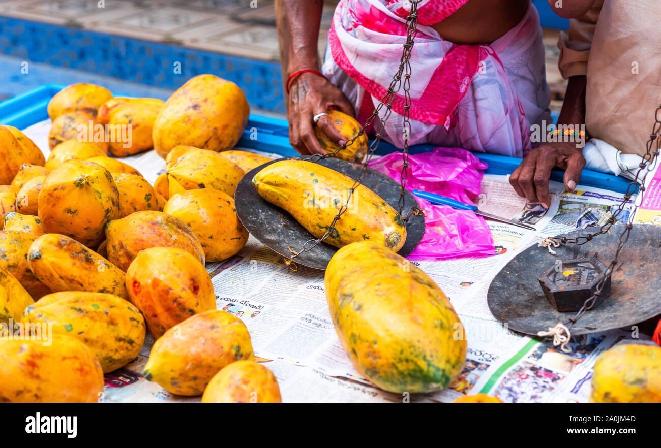 Papaya closeup, Puttaparthi, Indien. Mit selektiven Fokus Stockfoto