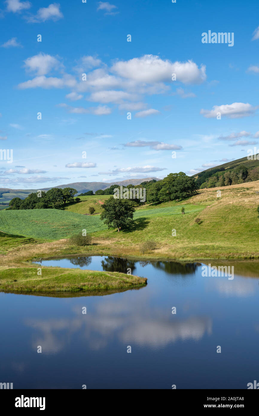 Morton Loch im September Sonnenlicht. Dumfries und Galloway, Scottish Borders, Schottland Stockfoto