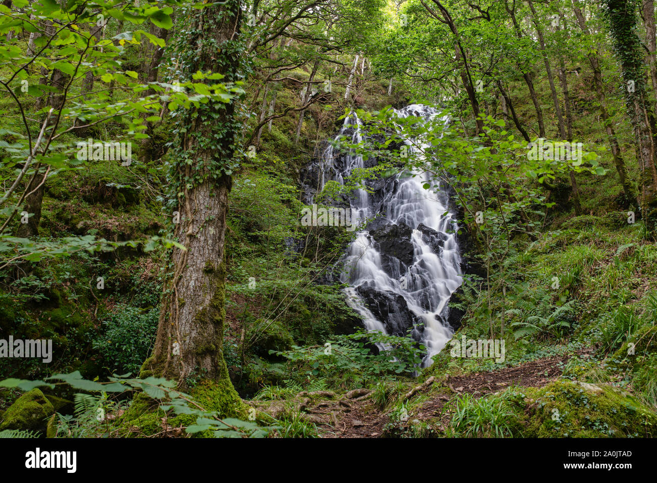 Pulhowan brennen Wasserfall im Wald von Cree Nature Reserve, Newton Stewart, Dumfries und Galloway, Schottland Stockfoto