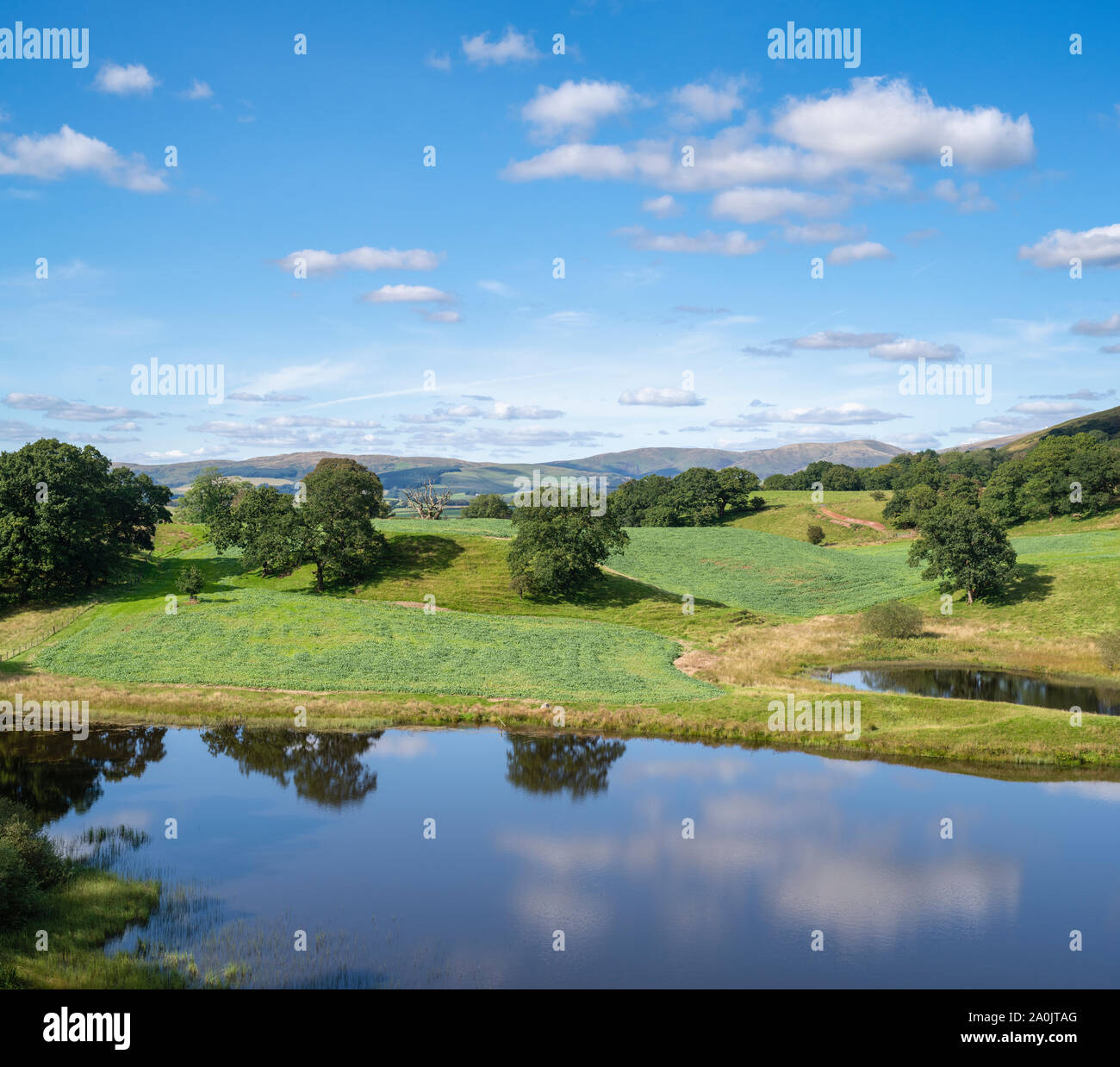 Morton Loch im September Sonnenlicht. Dumfries und Galloway, Scottish Borders, Schottland Stockfoto