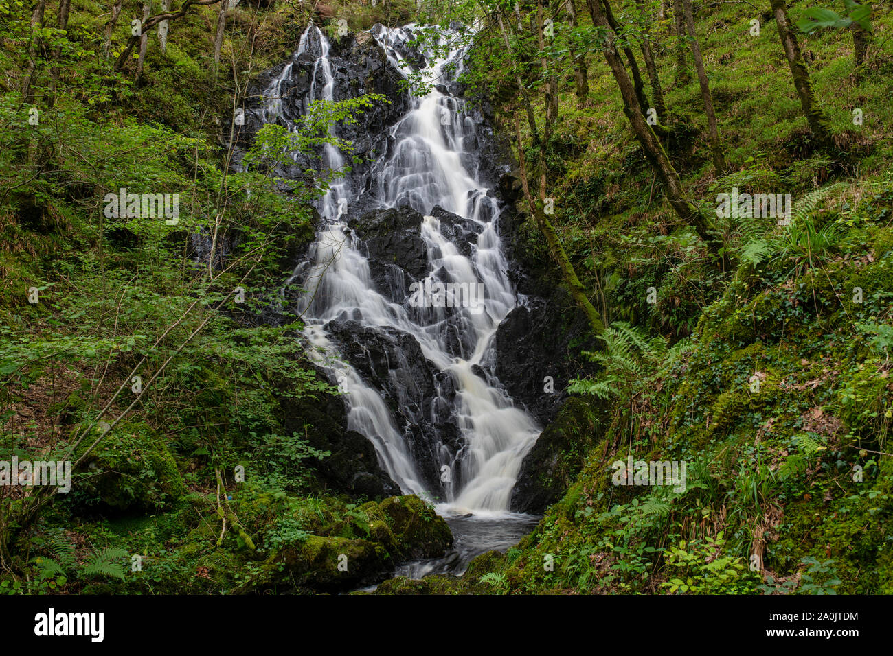 Pulhowan brennen Wasserfall im Wald von Cree Nature Reserve, Newton Stewart, Dumfries und Galloway, Schottland Stockfoto