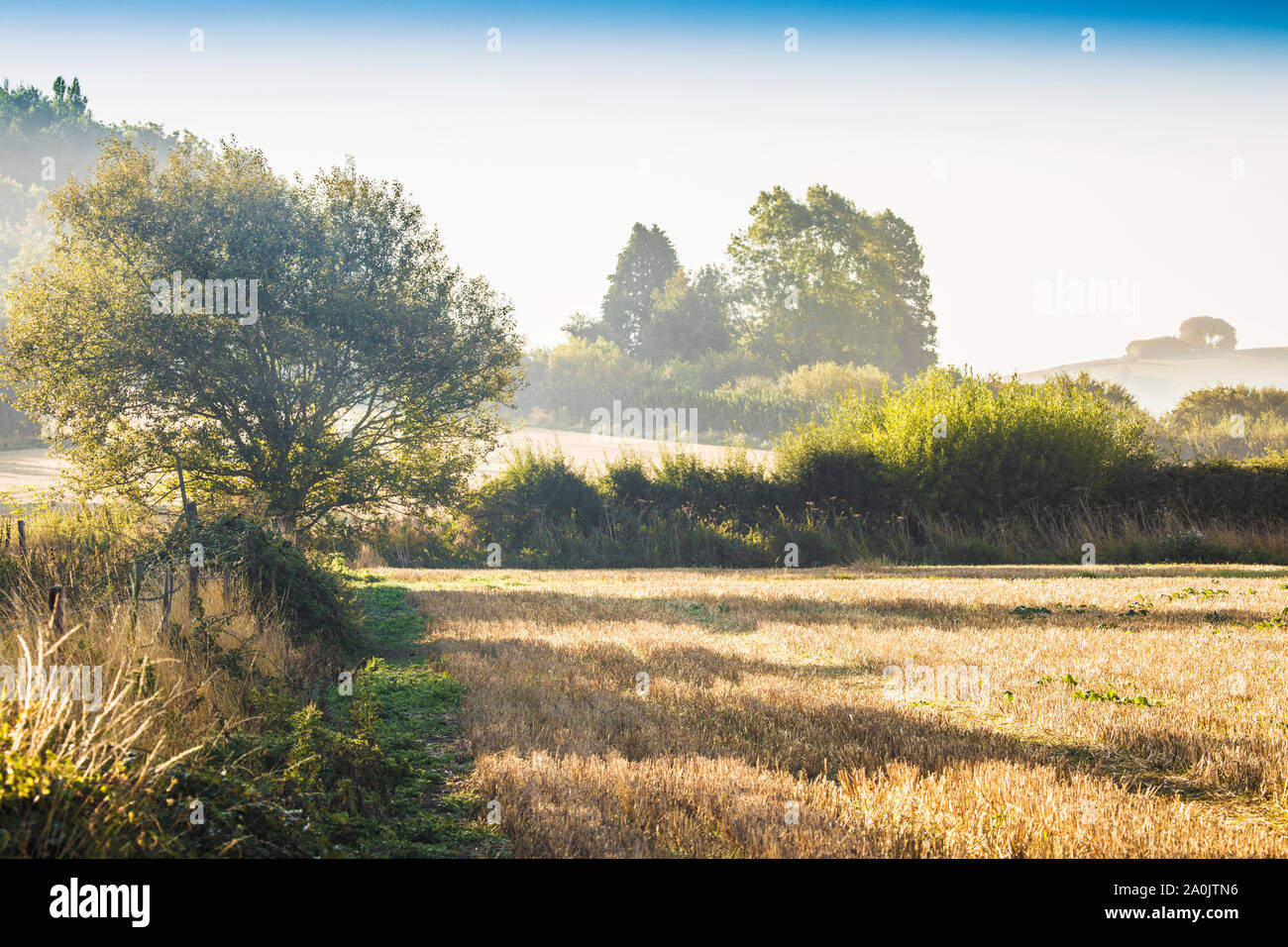Der Blick Richtung Liddington Hill in der Nähe von Swindon, Wiltshire auf einer frühen Herbstmorgen. Stockfoto