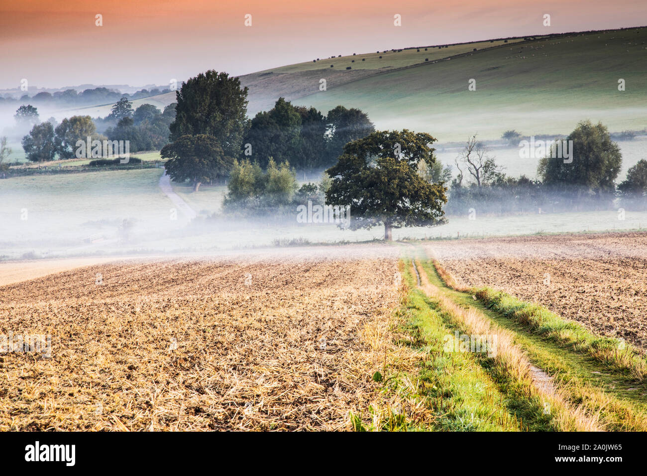 Eine späte Sommer Sonnenaufgang über dem Marlborough Downs in der Nähe von West Kennett. Stockfoto