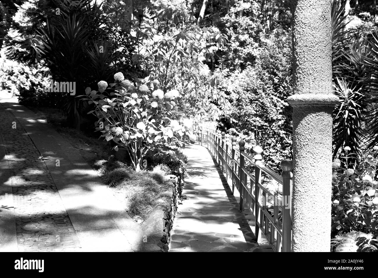 Ein Weg durch den Wald in einem japanischen Garten (der tropische Garten Monte Palace, Funchal, Madeira, Portugal) Stockfoto