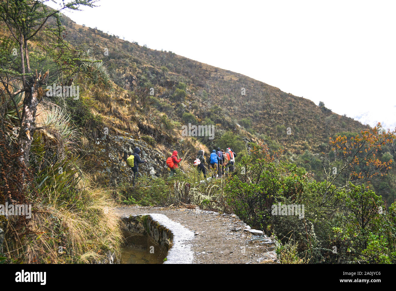 Der salkantay Trek in Peru (manchmal auch als Salcantay trail bezeichnet) ist die beliebteste alternative Trek nach Machu Picchu - es bietet Wanderern eine unglaublich abwechslungsreiche trekking Erfahrung, ist relativ einfach von Cusco und im Gegensatz zu den klassischen Inkapfad nach Zugang, es gibt keine Genehmigung Einschränkungen. Der Trail Aufenthalte durch unglaubliche Landschaften, wo Tiefland Dschungel gibt Weg alpine Einstellungen und vergletscherten Bergen zum Hochland, der beeindruckendste von Nevada ist Salkantay. Stockfoto