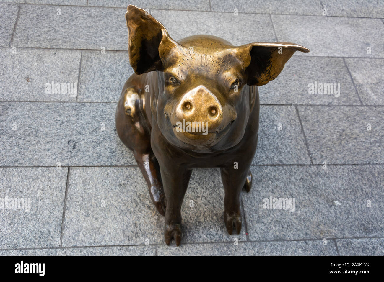Adelaide, Australien - 16. März 2017. Skulptur von lebensgroße Bronzestatue Schwein, bekannt als Horatio, Rundle Mall Fussgängerzone in Adelaide, SA. Stockfoto