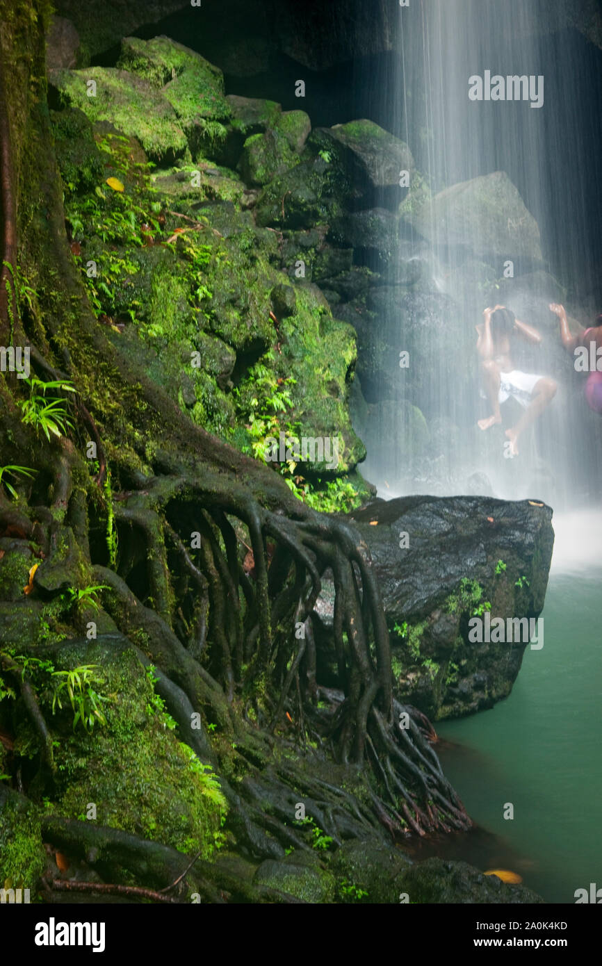 Menschen Schwimmen im Wasserfall bei Emerald Pool, UNESCO-Welterbe, Dominica, West Indies, französische Karibik, Mittelamerika Stockfoto