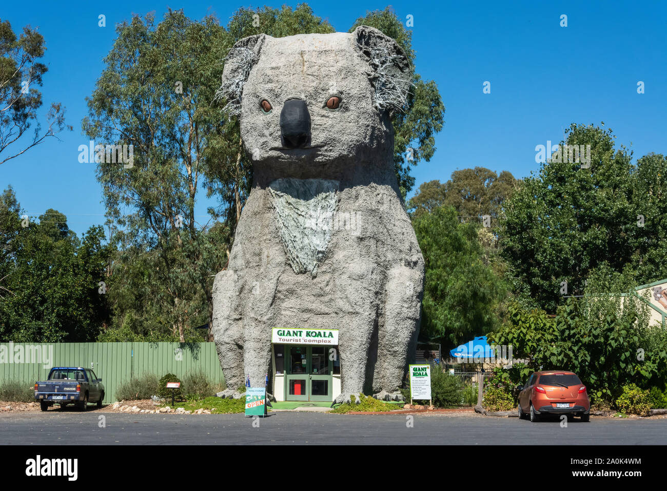 Dadswells Brücke, Victoria, Australien - März 4, 2017. Die riesigen Koala, von Bildhauer Ben van Zetten in Dadswells Brücke, Victoria erstellt, mit Autos. Stockfoto