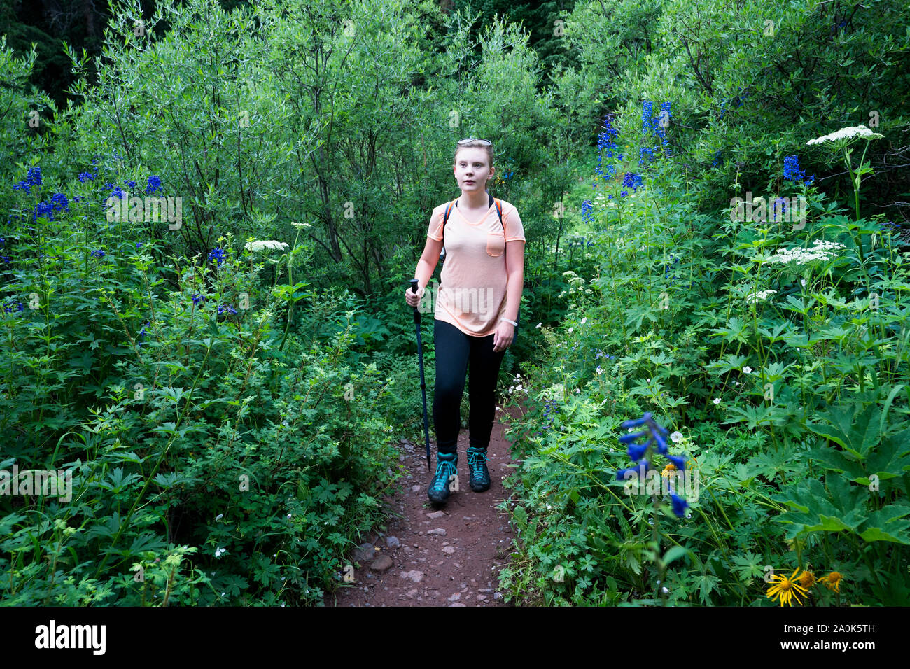Weibliche Wanderer Spaziergänge durch die Wiese Abschnitt der 8.1 Meile Wanderung zu Eis See im oberen Becken an einem Sommertag, wenn Wildblumen blühen, San J Stockfoto