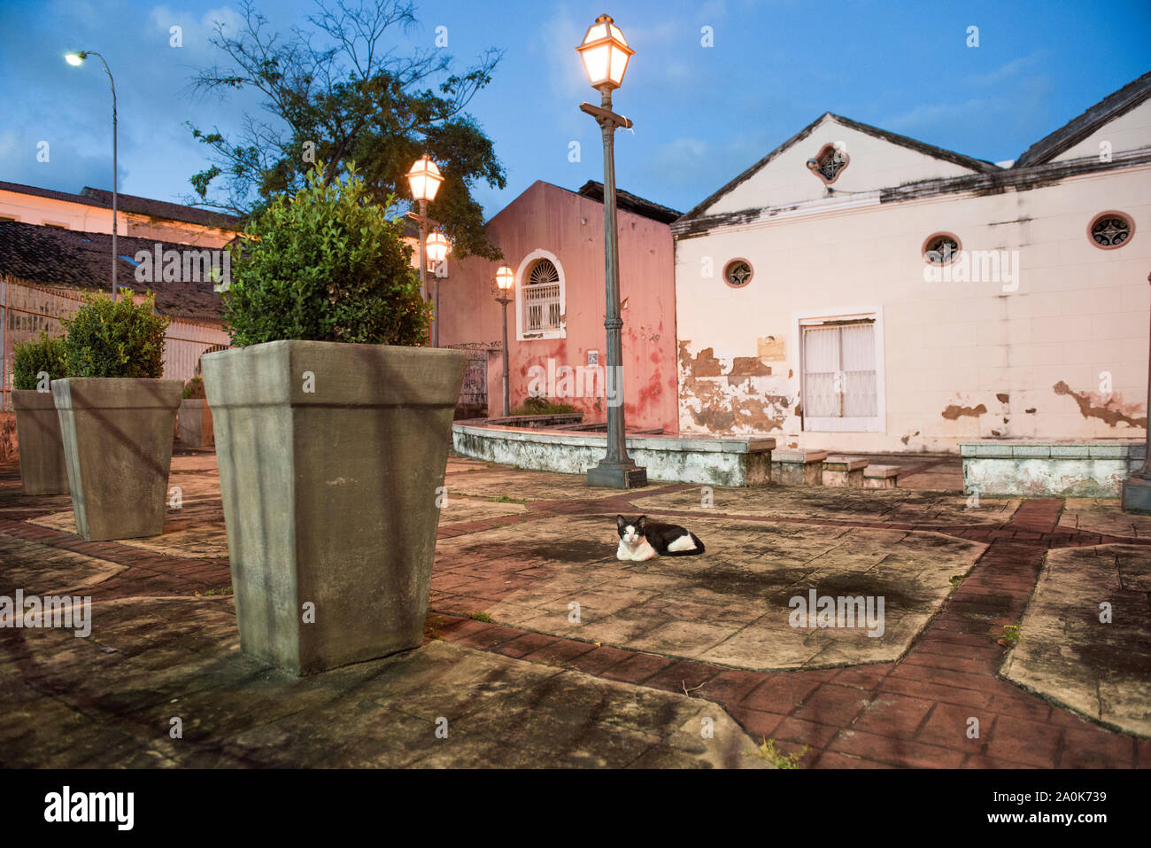 Katze in der Nacht im Amphitheater von Theater Odilo Costa Filho Stockfoto