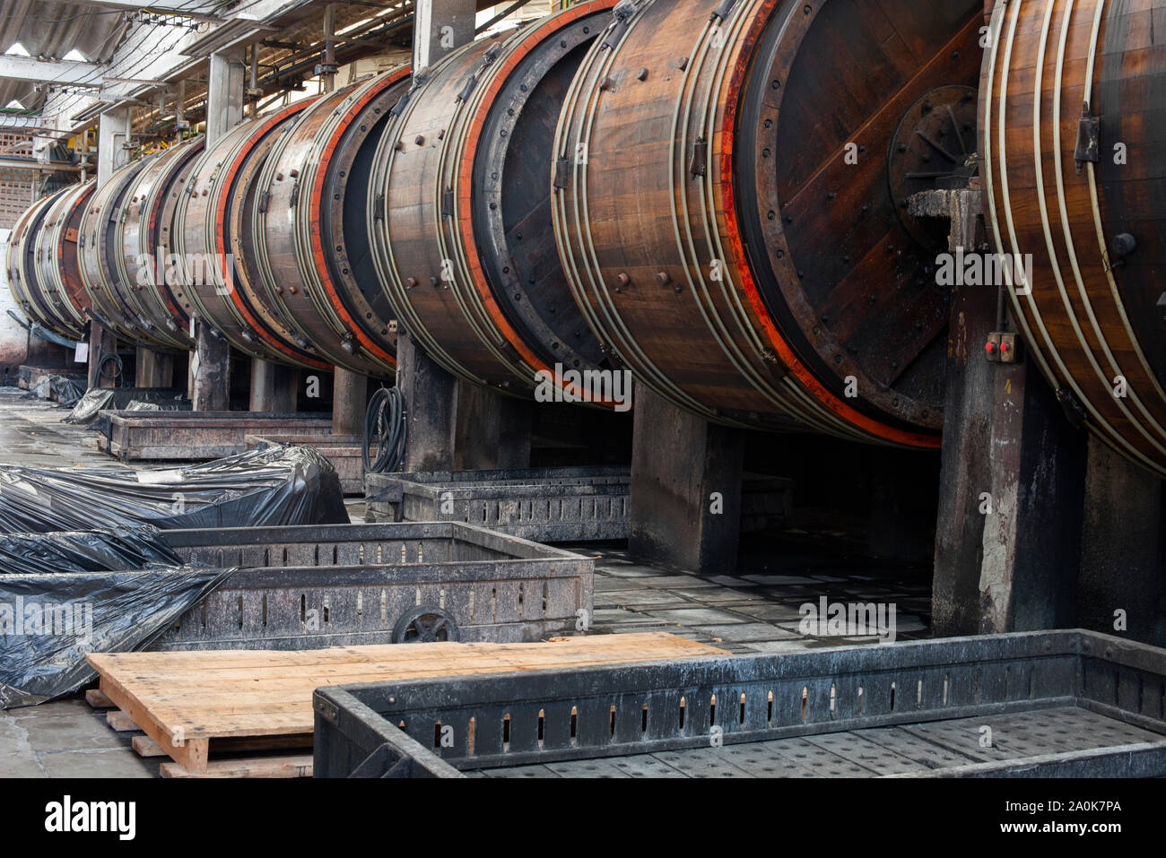 Gerberei Räder in einer Reihe Stockfoto
