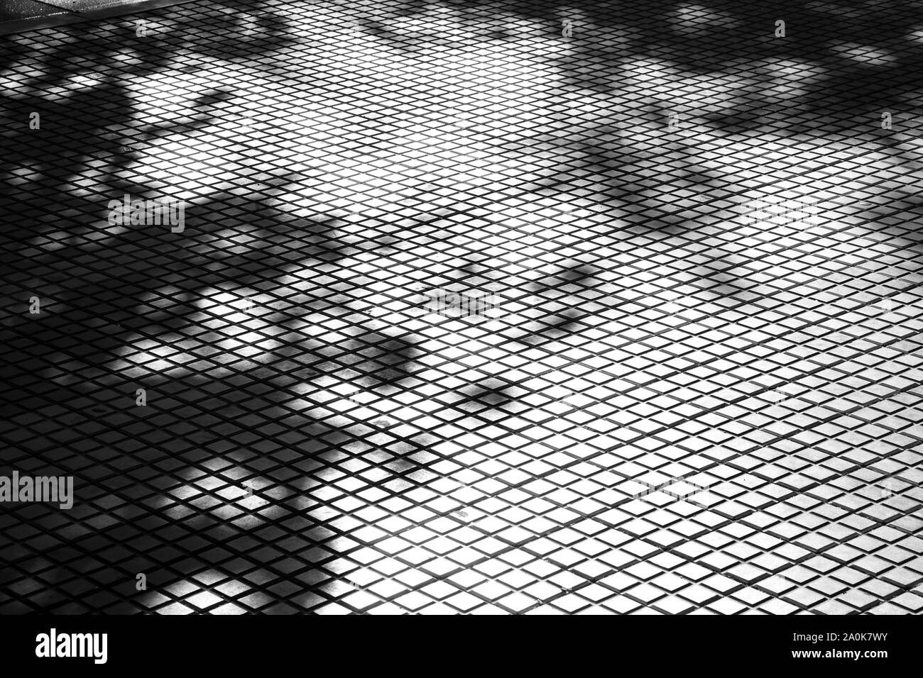 Schatten von Bäumen auf Fliesen- stadt Bürgersteig, abstrakten architektonischen Hintergrund in hoher Kontrast schwarz und weiß Stockfoto