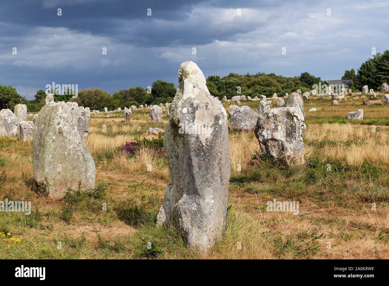 Alignements du Menec-Zeilen der Menhire - Steine - die größte Megalithen in der Welt, Carnac Stockfoto