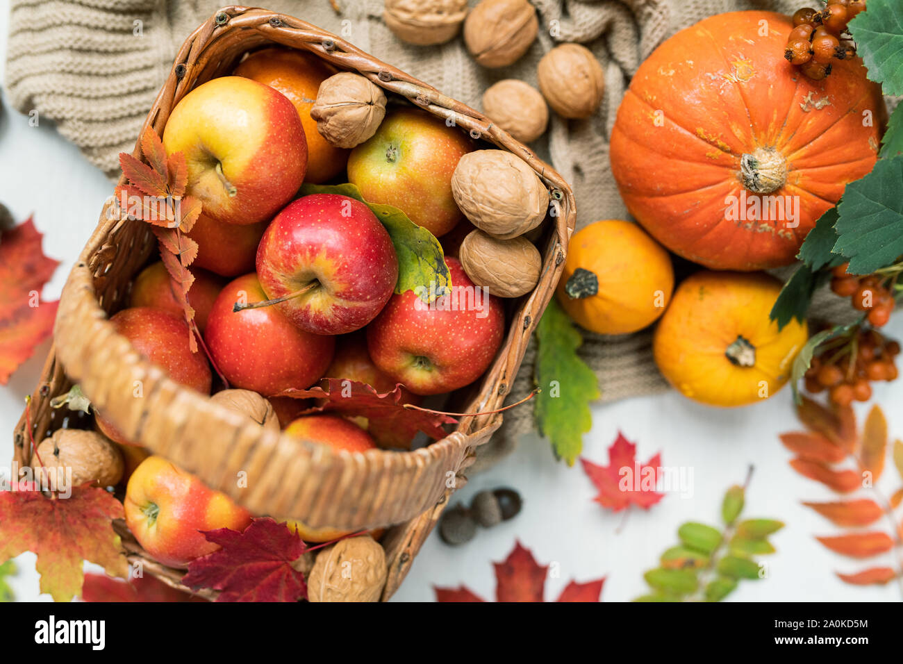 Übersicht der Korb mit rote reife Äpfel, Walnüsse, Kürbisse und Blätter im Herbst Stockfoto