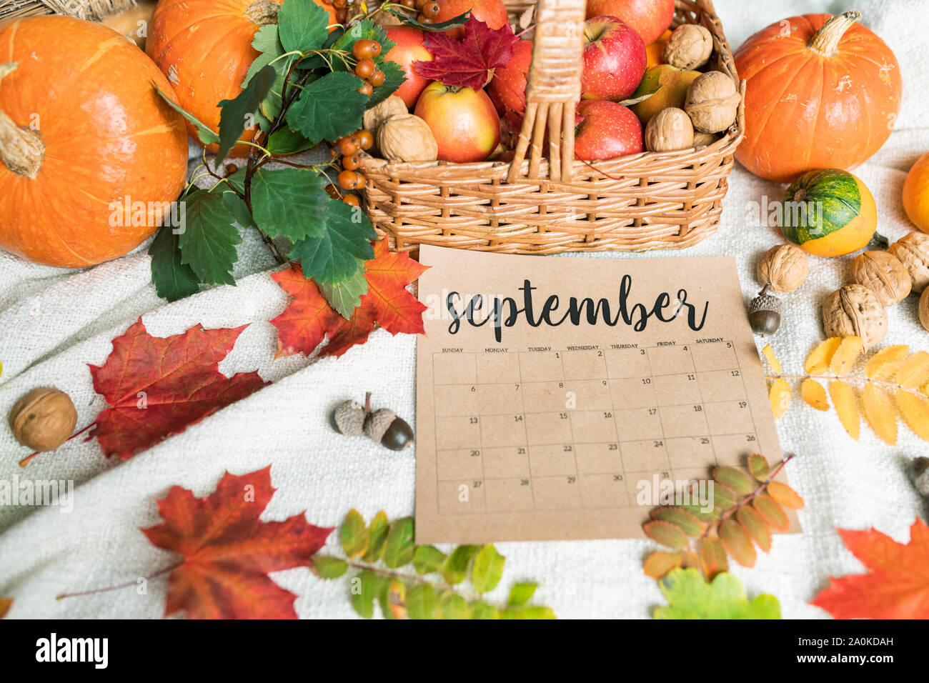 September Hintergrund mit reife Äpfel und Kürbisse, Nüsse, Eicheln und Blätter Stockfoto
