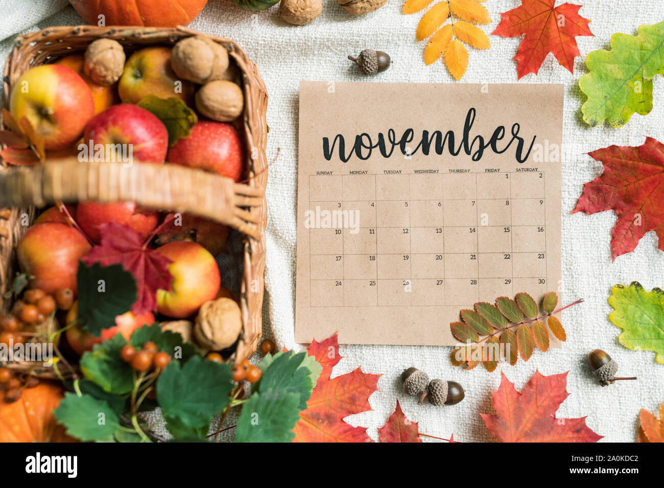 Kalender Liste der November mit reife Äpfel, Nüsse, Eicheln und bunte Blätter Stockfoto