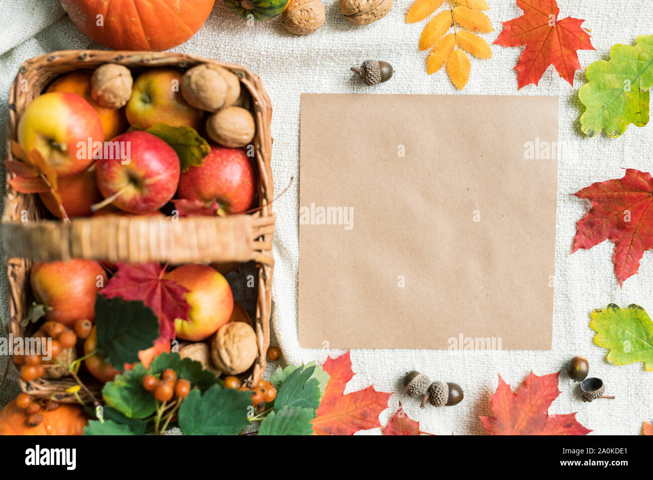 Draufsicht auf das leere Papier u. Herbst Blätter, Eicheln, Walnüsse und reife Äpfel Stockfoto
