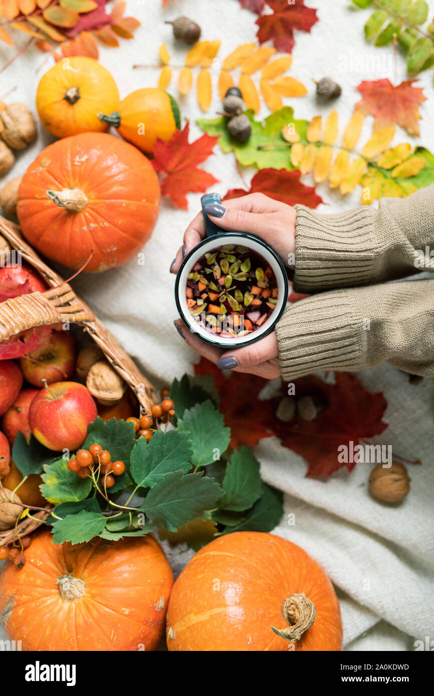 Girl Holding heißen Tee mit Kräutern unter reife Kürbisse, Äpfel und Blätter im Herbst Stockfoto