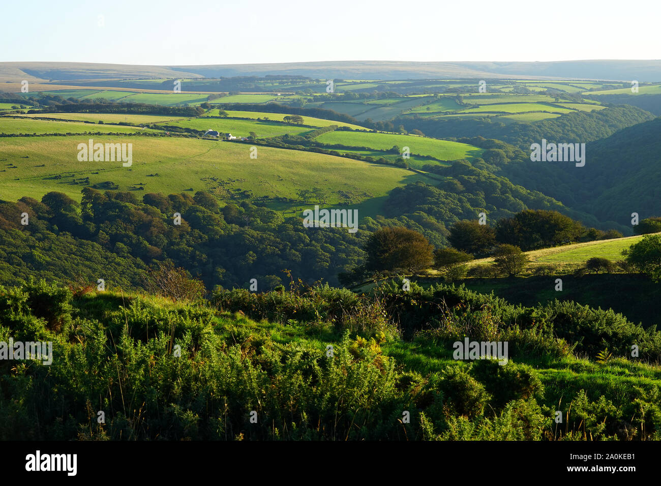 Ein Blick über den Osten Lyn Valley auf Exmoor Stockfoto