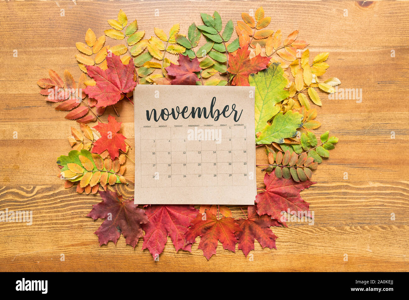 November Kalenderblatt im Herbst Blätter von verschiedenen Farben umgeben Stockfoto