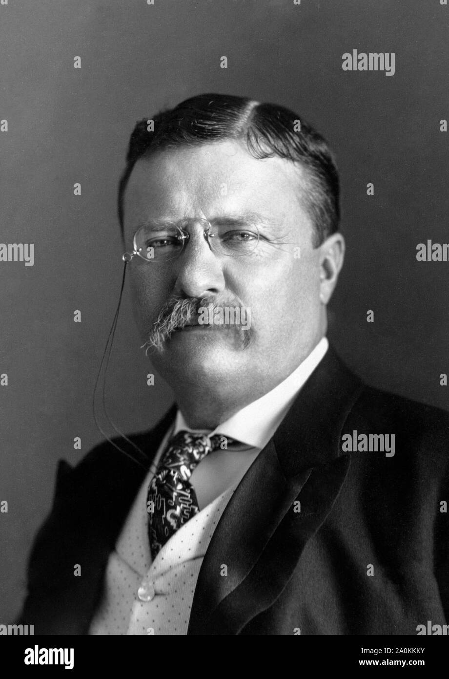 THEODORE ROOSEVELT (1858-1919) als Präsident der Vereinigten Staaten Stockfoto