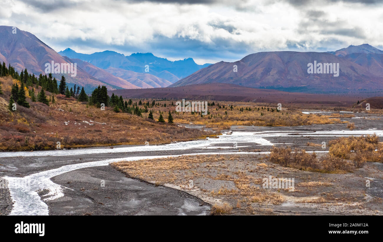 Landschaftlich schöner Herbstblick im Denali National Park Stockfoto