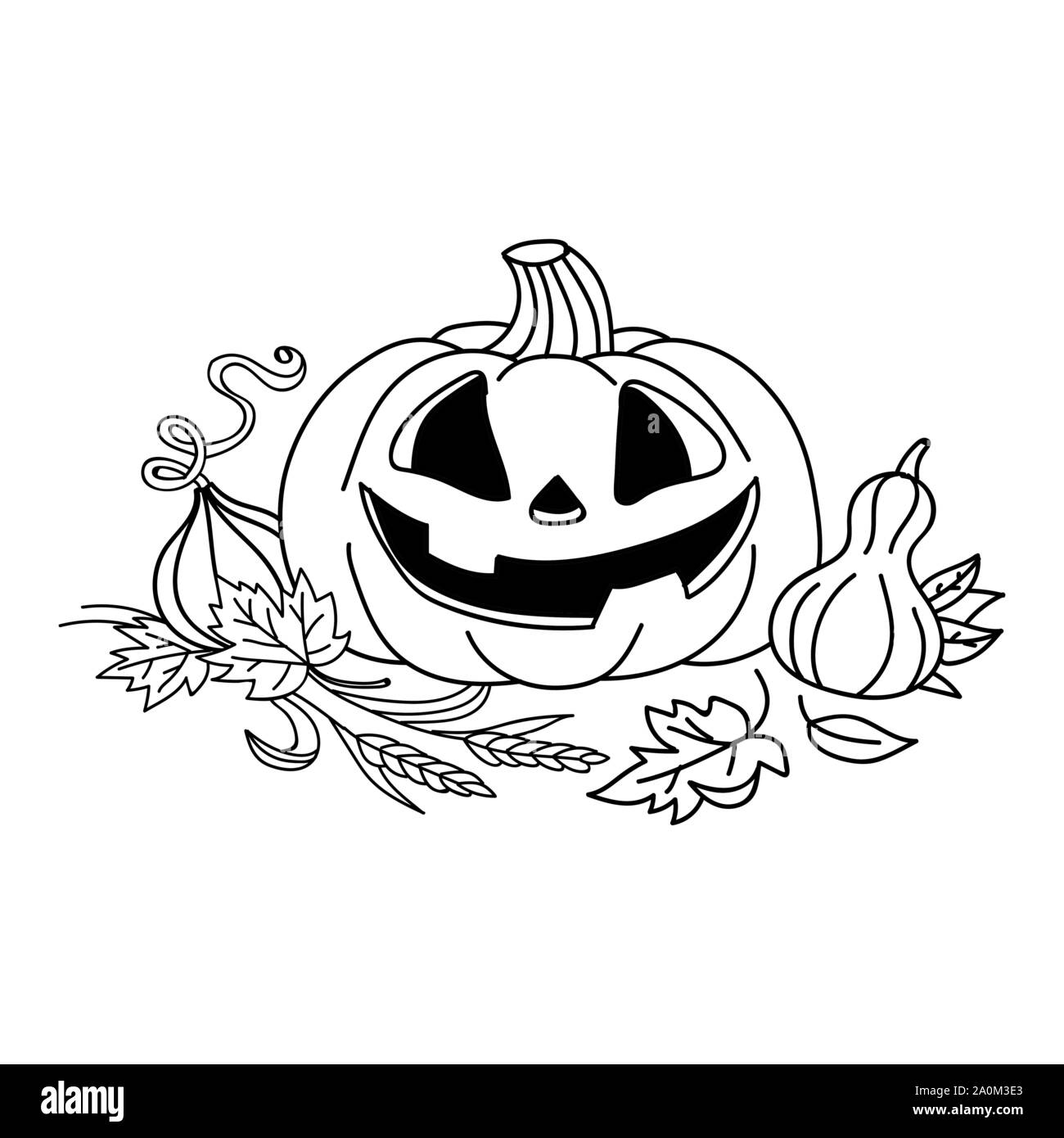 Skizze Kurbis Mit Blattern Kurbis Vektor Zeichnung Isolierte Umrisse Kurbis Halloween Hand Ernte Abbildung Gezeichnet Happy Halloween Stock Vektorgrafik Alamy