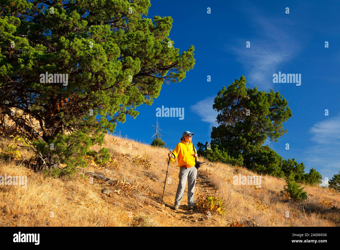 Pacific Crest National Scenic Trail, Cascade Siskiyou National Monument, Oregon Stockfoto