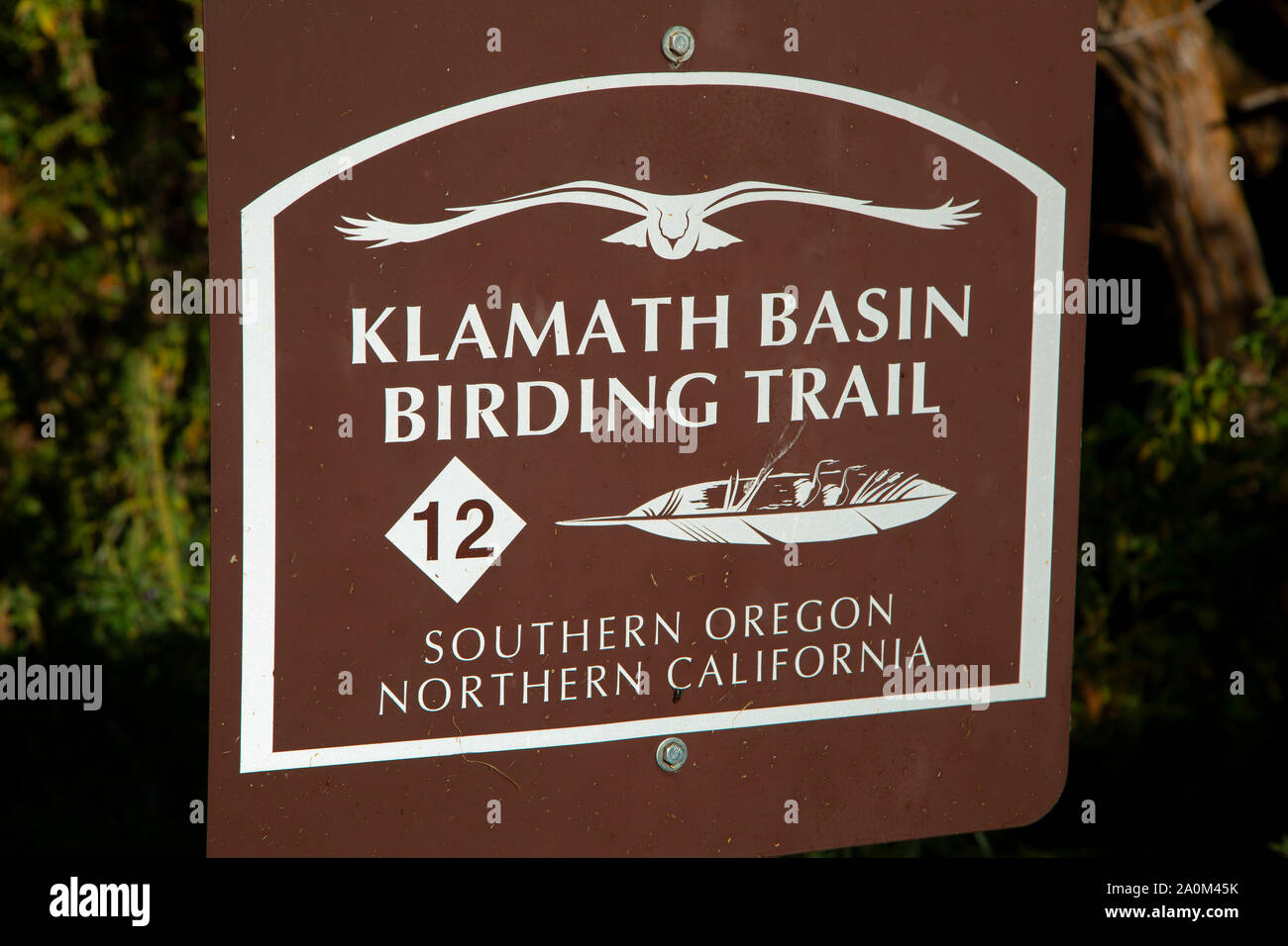 Birding Trail anmelden, Wood River Wetland, Klamath Falls District Büro des Land-Managements, Oregon Stockfoto