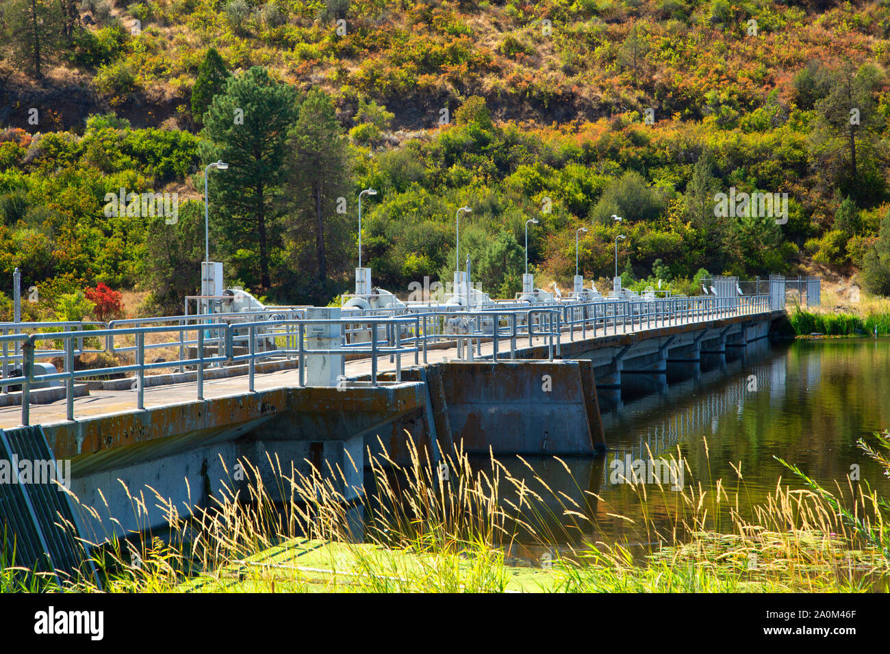 Keno, Keno Dam Recreation Area, Klamath County, Oregon Stockfoto