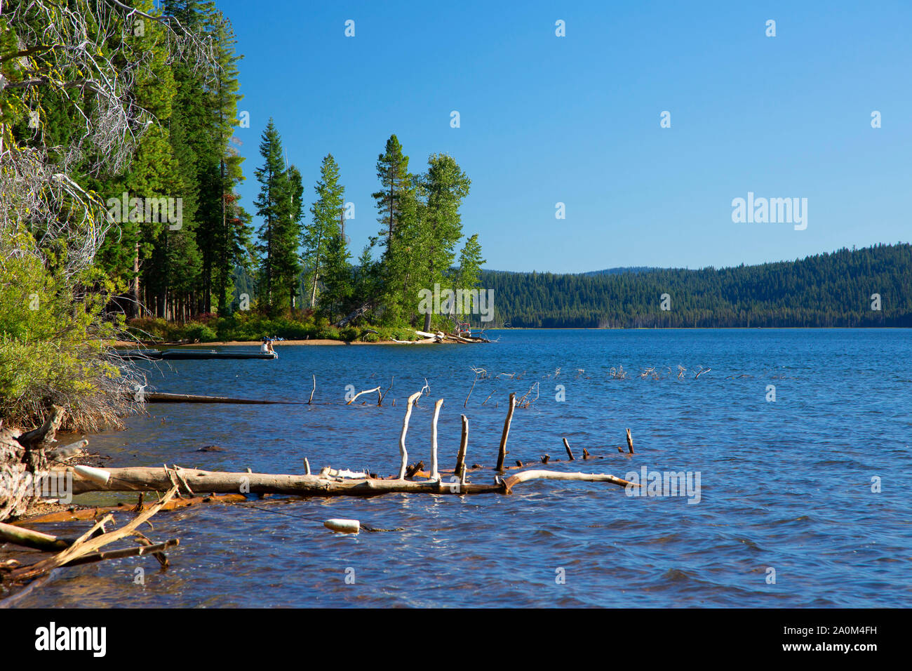 See des Holzes, Winema National Forest, Oregon Stockfoto