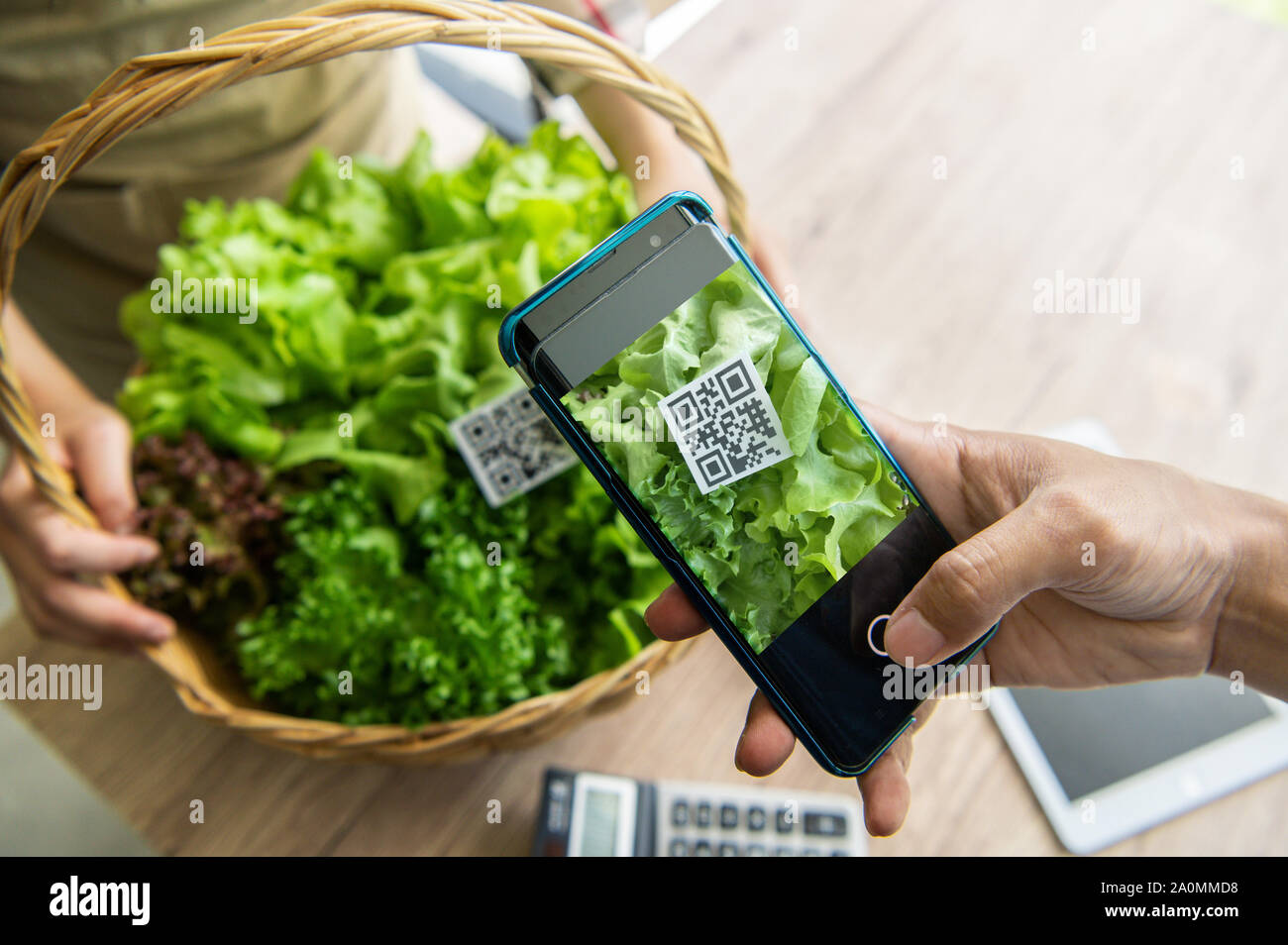 Kunden kaufen Bio Gemüse aus hydroponics Farm und mit QR-Code Scanning System Zahlung am Lebensmittelmarkt Shop bezahlen. Technologie und futuristische bu Stockfoto