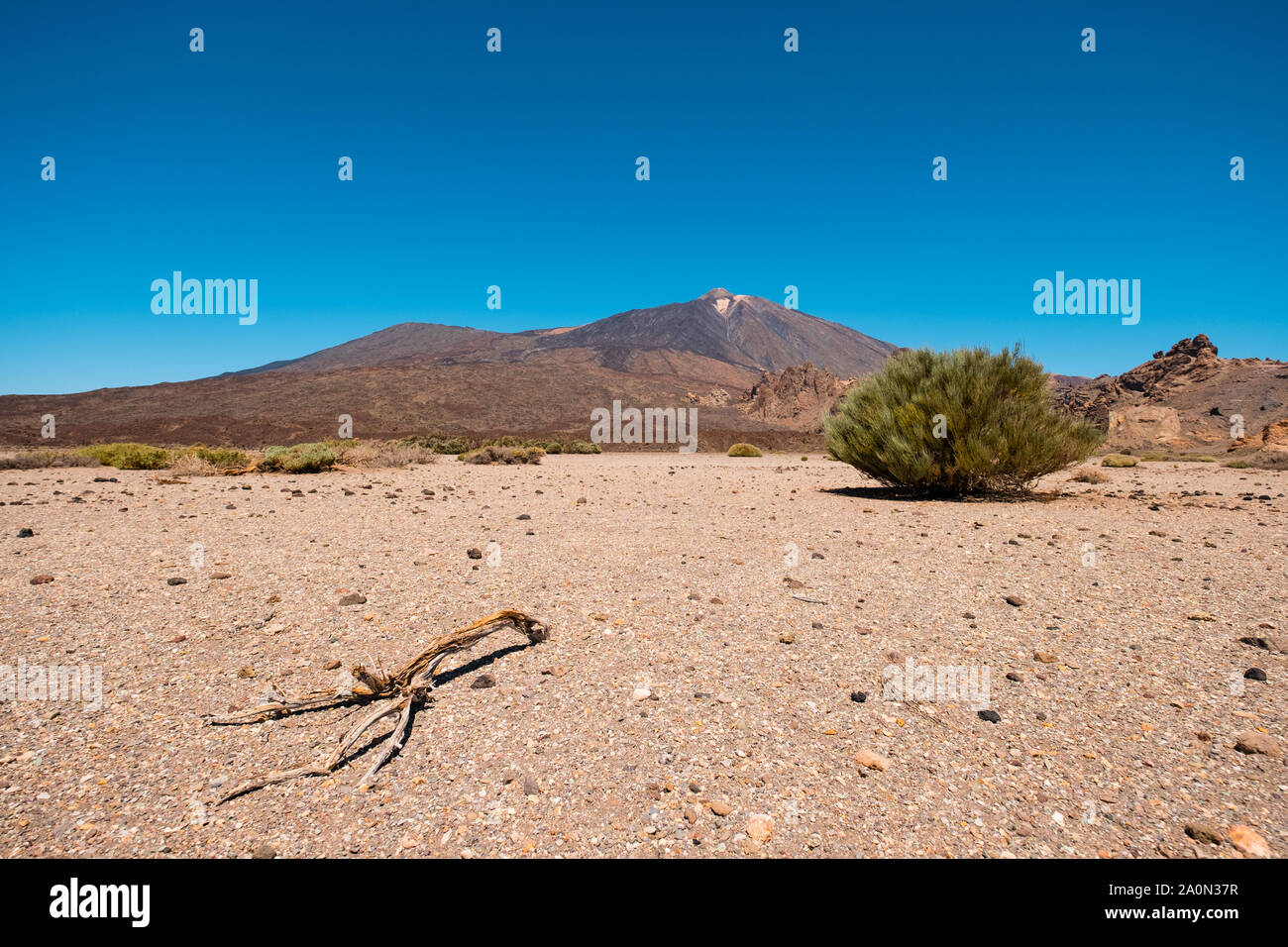 Sonnigen Tag im Trockenen, vulkanischen Landschaft der Wüste auf Pico del Teide, Teneriffa Stockfoto