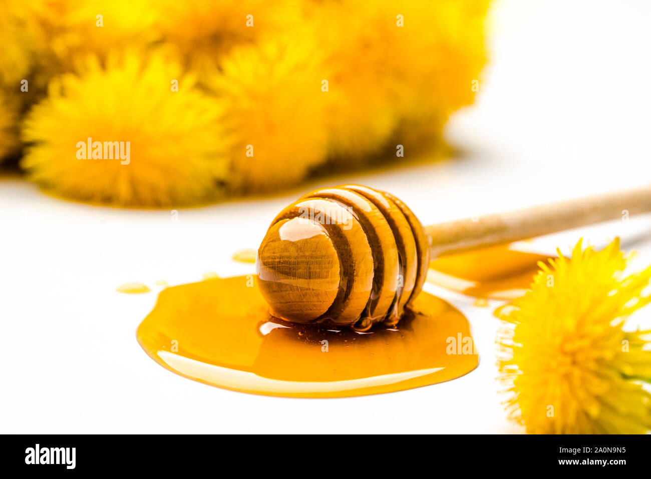 Löwenzahn honig, Stick in Tropfen Honig auf weißem Hintergrund Stockfoto