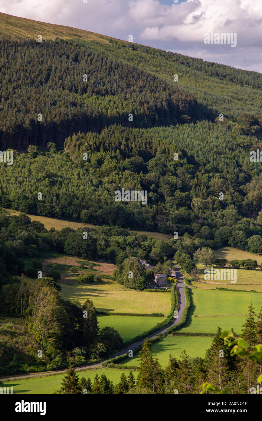 Einen schmalen Feldweg schlängelt sich durch Felder in der Glyn Collwn Tal, unter der Talybont Wald und Hügel der Brecon Beacons in South Wales. Stockfoto