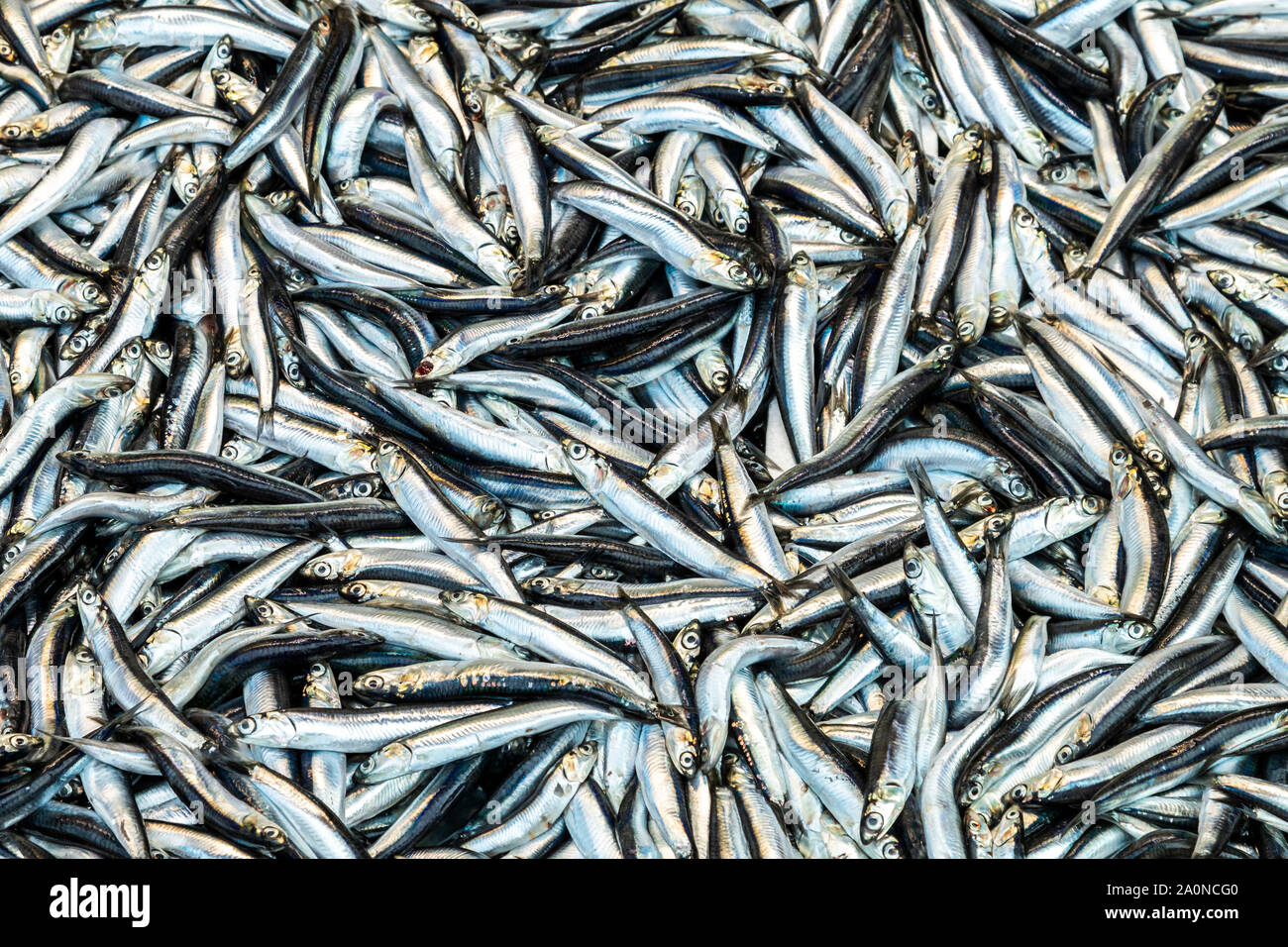 Fischmarkt in Istanbul, Türkei Stockfoto