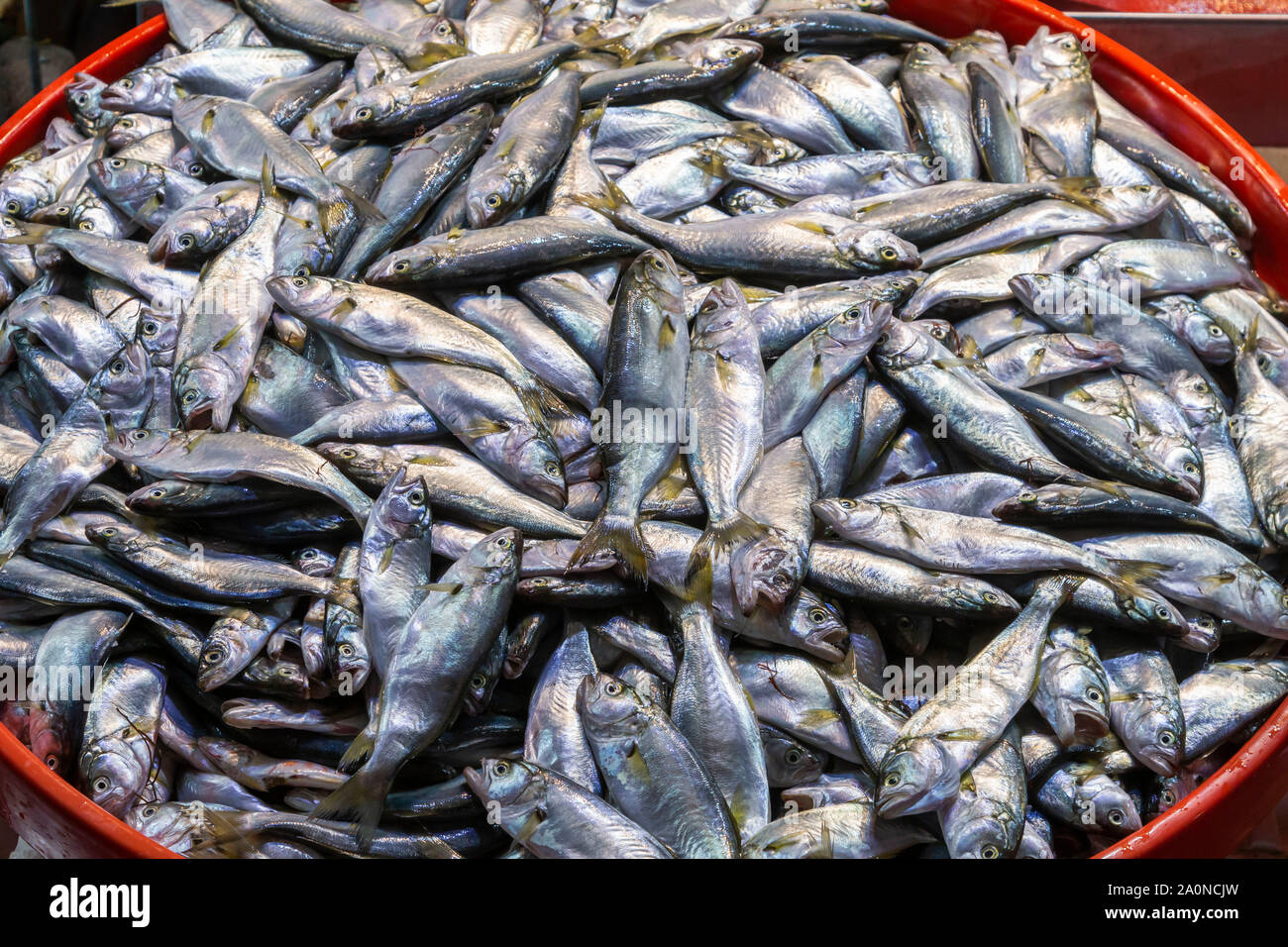 Fischmarkt in Istanbul, Türkei Stockfoto