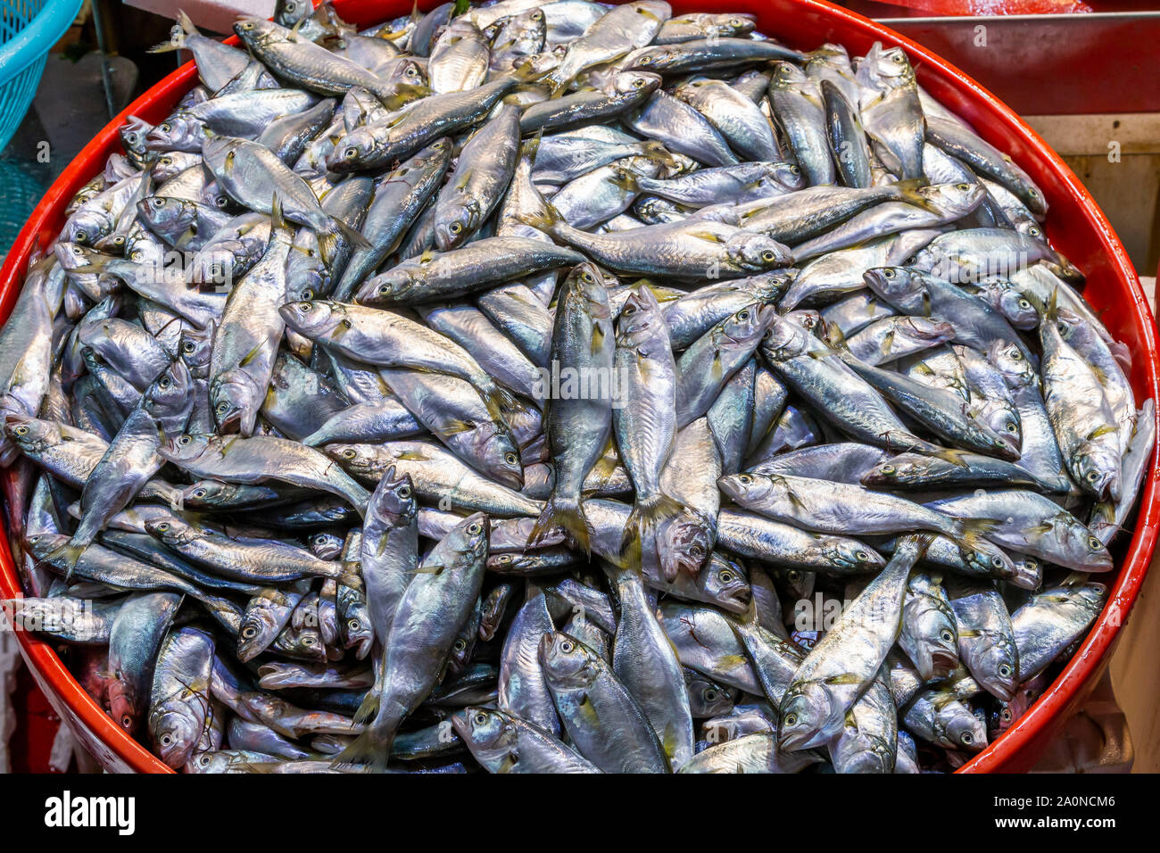 Fischmarkt in Istanbul, Türkei Stockfoto