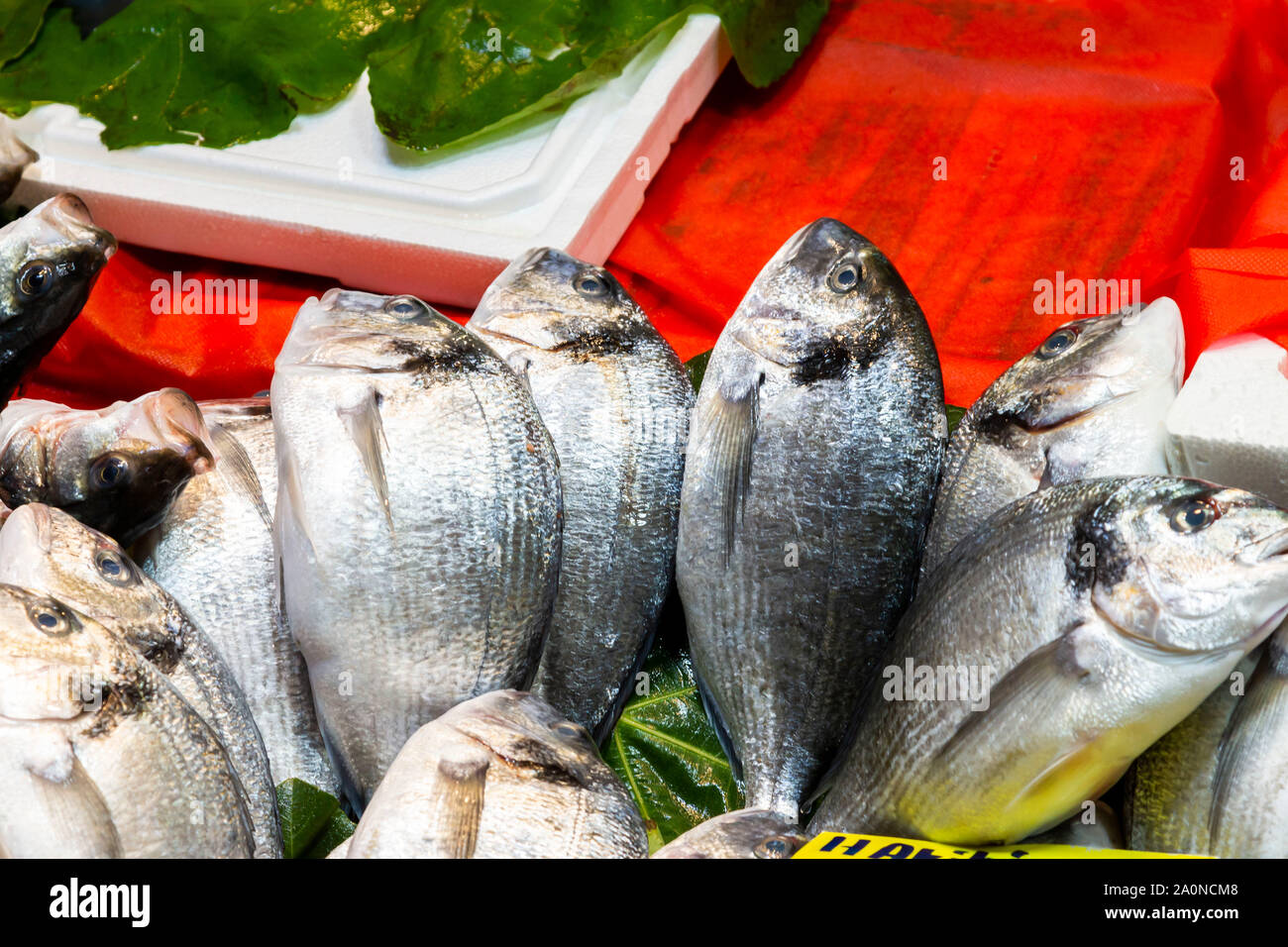 Fischmarkt in Istanbul, Türkei Stockfoto